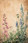 復(fù)古風(fēng)花卉植物插畫