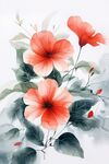 水墨風(fēng)艷麗朱槿花卉圖