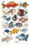 多彩金魚插畫圖案集合