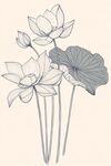水墨風(fēng)荷花線描插畫