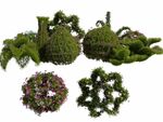 植物雕塑