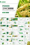 水稻農(nóng)田農(nóng)業(yè)種植大米PPT模板