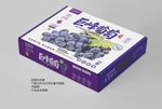 巨峰葡萄包裝禮盒