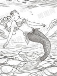 手繪美人魚在水中暢游線稿