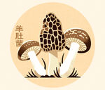 羊肚菌插畫圖