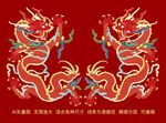 經(jīng)典龍紋升龍彩龍線描龍雙龍禮盒