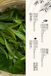 茶葉茶飲飲品宣傳海報(bào)