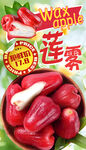 蓮霧水果