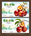 油桃