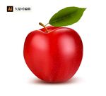 紅蘋果 矢量