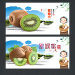 獼猴桃