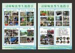 清除蚊蟲孳生地宣傳單