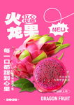水果火龍果海報(bào)