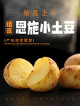 恩施小土豆上市