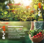 農(nóng)場