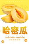 哈密瓜