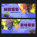 葡萄海報(bào)