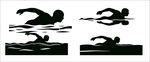 游泳運(yùn)動(dòng)姿態(tài)展示