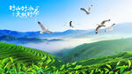 茶山