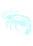 線描蝦