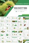 營養(yǎng)美食美味板栗種植宣傳PPT