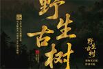 野生古樹