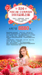 美國旅游花海中的夢幻兒童