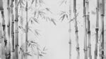 竹林沖孔鋁單板幕墻