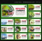 保護(hù)鳥類
