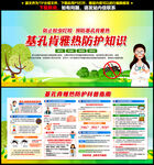 基孔肯雅熱
