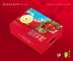 蘋果包裝 紅富士禮盒