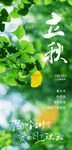 立秋綠色立秋海報(bào)