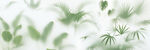 霧氣磨砂膜效果綠植貼圖