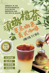 滇橄欖茶海報(bào)