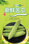 苦瓜