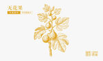 金色無(wú)花果插畫(huà)