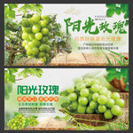 陽光玫瑰