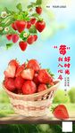草莓海報