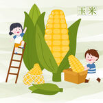 兒童看圖識(shí)物卡片玉米教育插畫(huà)