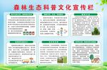 森林生態(tài)科普宣傳欄展示