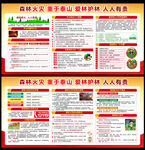 預(yù)防森林火災(zāi)