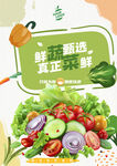 蔬菜海報(bào)