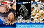 海鮮 直播 效果圖