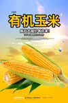 玉米