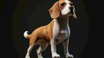 可愛(ài)比格犬的精美3D模型