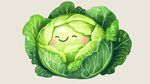 可愛卷心菜卡通形象