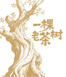 一棵老茶樹插畫圖案