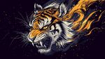 火焰猛虎 野性力量的迸發(fā)