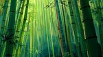 夢幻翠綠竹林美景