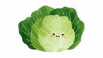 可愛卡通卷心菜插畫
